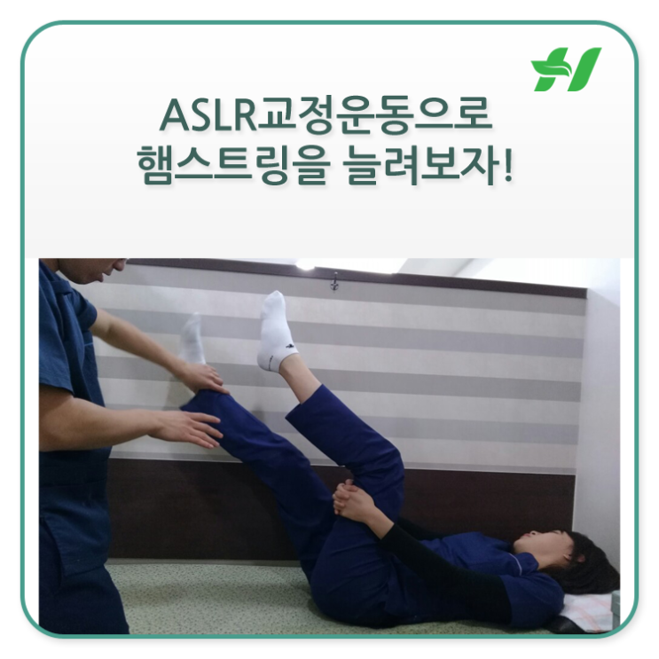 ASLR교정운동으로 햄스트링을 늘려보자 : 네이버 블로그