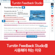 Turnitin Feedback Studio를 사용해야 하는 이유