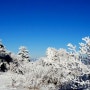 덕유산 눈꽃 산행 이야기