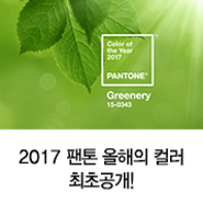팬톤(PANTONE)의 공식 라이선스 파트너 VDL이 소개하는 ‘2017 올해의 컬러(Color of the Year)’