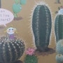 애플비 영어동화 100편 Cactuses in the Desert