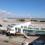 베네치아-파리 이동 항공권 예매방법과 저가항공 트랜스비아 탑승후기