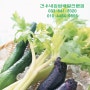강릉모텔 음식배달로 소문난 [견우네집밥] 배달전문점 - 엄지척^^