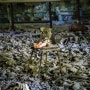 [우크라이나여행]유령의 도시 - 체르노빌(Chernobyl)