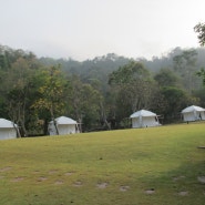 파타야 호텔, 태국에서도 캠핑을! 카오키여우 오픈주 안에 있는 에스 타테 캠핑!