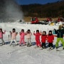 곤지암리조트 어린이 스키강습