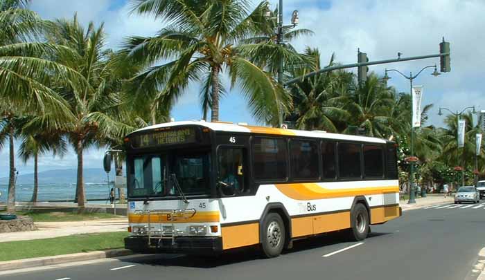(하와이여행팁) 하와이 버스 노선 총정리 : 네이버 블로그