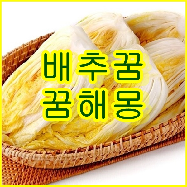 배추꿈, 배추보는꿈 꿈해몽 : 네이버 블로그