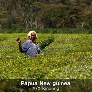 커피에게_파푸아뉴기니커피 A/X Kindeng (블루마운틴과 비슷한 자연환경의 커피)