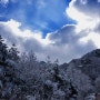 화천 / 해산령에 눈(雪)사냥 가다.