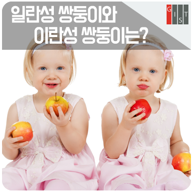 일란성 쌍둥이와 이란성 쌍둥이는? : 네이버 블로그 일란성 쌍둥이와 이란성 쌍둥이는? : 네이버 블로그