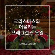 [캔들시즌] 크리스마스와 어울리는 프래그런스 오일 추천