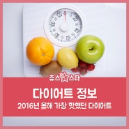 2016년 핫 했던 다이어트종류 정리!