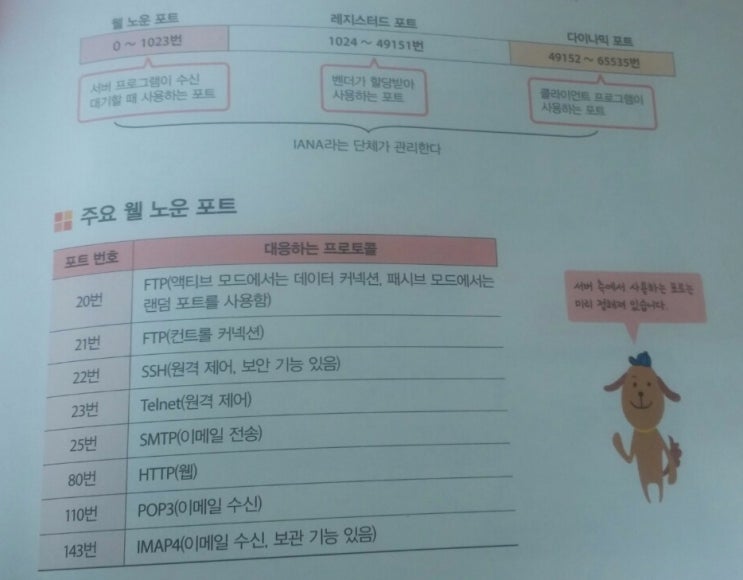 [네트워크기초] 포트번호,TCP/UDP : 네이버 블로그