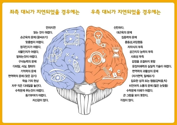좌뇌 우뇌 기능 테스트 재미보장 : 네이버 블로그