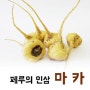 회룡포 마카 [1kg] -예천 회룡포마을