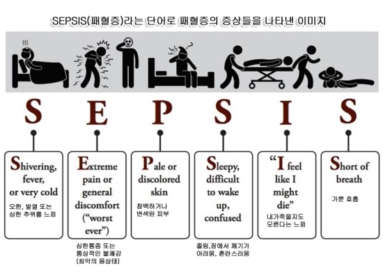패혈증 진단과 원인 : 네이버 블로그
