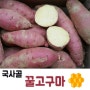 예천 사랑가득 꿀고구마(베니하루카) [3kg] - 예천 국사골마을