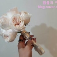 [용산아이컨벤션/모니카블랑쉬/컬쳐앤네이쳐청담] 소녀소녀한 윤지신부님 예식날! - 더웨드 최혜미플래너