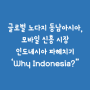 글로벌 노다지 동남아시아, 모바일 신흥 시장 인도네시아 파헤치기 'Why Indonesia?"