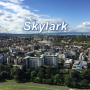 영어 통역 전문 Skylark을 소개합니다.