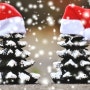 양재역치과 강남연세샘치과 다가오는 크리스마스 이미지 사진 모음