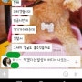 인천에서 생긴 반려견 '순대' 개고기 사건, 서명 부탁드립니다.