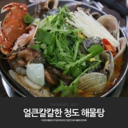 얼큰칼칼한 해물탕 역시 청도 제주 맛집 들려봐