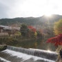 일본 교토 아라시야마/교토 가볼만한 곳/단풍이 아름다운 게이샤의 추억 촬영지/도게츠교,치쿠린