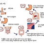 배에 가스빼는법 4가지