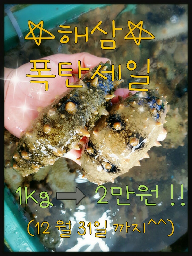 #통영해삼 #통영참해삼 #해삼탕 #해삼회 #해삼내장 #해삼물회 #해삼고수 #해삼비빔밥 #싱싱한해삼 #참해삼 #해삼세일 #해삼폭탄 ...