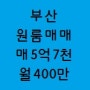 부산원룸매매 금정구 서동 원룸건물매매