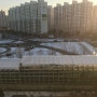서울에 눈이 왔어요