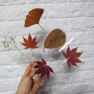 압화 낙엽 책갈피 만들기