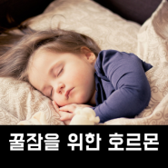수면부족 증상, 꿀잠을 위한 호르몬