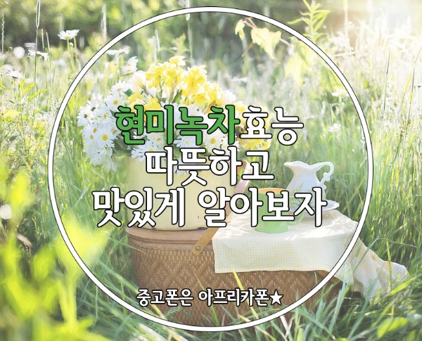 현미녹차효능! 따뜻하고 맛있게 알아보자! : 네이버 블로그 현미녹차효능! 따뜻하고 맛있게 알아보자! : 네이버 블로그