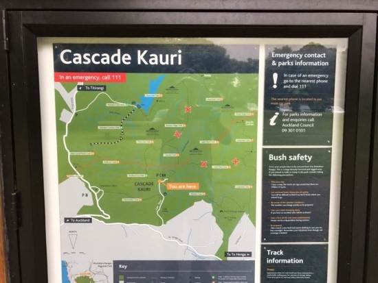 살아 숨시는 원시림! 와이타케레(waitakere ranges) : 네이버 블로그