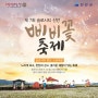 2017년 소금마을 삐비꽃 축제