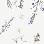 패턴,라벤더/꽃그림/일러스트문양/라인드로잉/펜아트/펀사