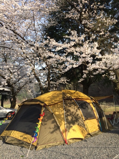 경남 진주 캠핑장 추천_1박2일 봄벚꽃 캠핑은 진주 도토리캠프...