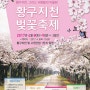수원축제_ 황구지천 벚꽃축제