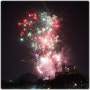 제 41회 김해 가야문화축제 : 불꽃놀이 구경