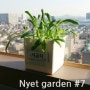 [캣잎·채소 키우기] Nyet garden #7
