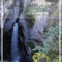 [캐나다 로키 여행] 멀린 캐년 (Maligne Canyon) 트레킹 : 로키 트레킹 코스 추천