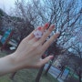 이천 설봉공원은 벚꽃이 만개 :)