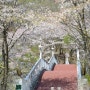 봄맞이 , 벚꽃나들이 명소 추천