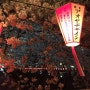 도쿄 나카메구로 벚꽃나들이
