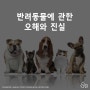 [BCOZU/비코쥬] 반려동물에 관한 오해와 진실