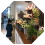 월성동 꽃집 / 베르티지(Verttige) - 예쁜 꽃집