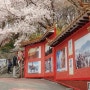 인천 :: 봄 나들이 (자유공원, 송현근린공원)